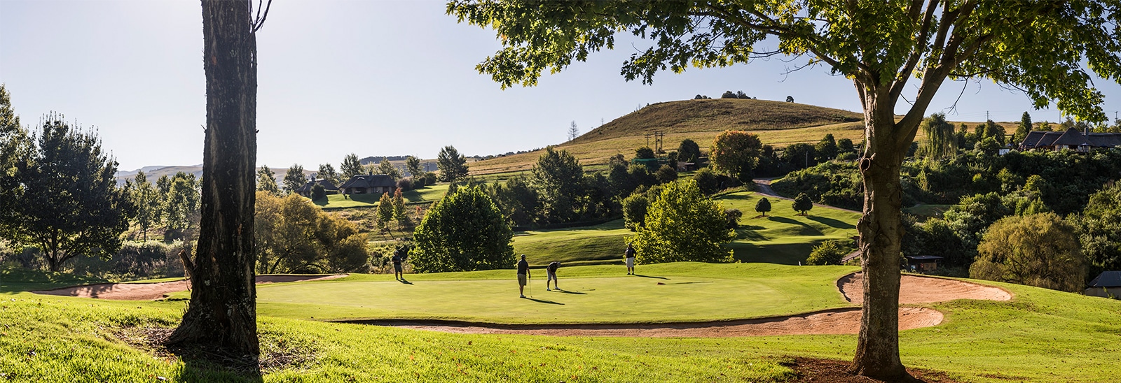 Golf
