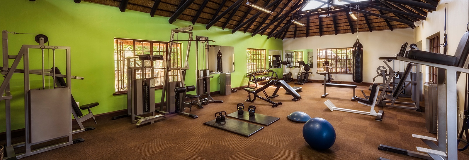 Wellness